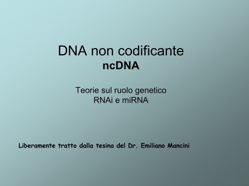 DNA non codificante ncDNA Teorie sul ruolo genetico RNAi e miRNA