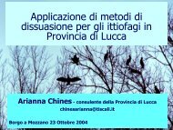 Arianna Chines - Provincia di Lucca