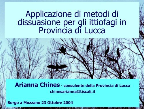 Arianna Chines - Provincia di Lucca