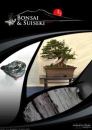 Novembre/Dicembre 2010 - Napoli Bonsai Club