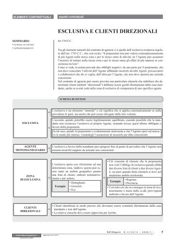 ESCLUSIVA E CLIENTI DIREZIONALI - Ratio