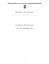 Verbale consiglio seduta 30 settembre 2008 - Provincia di Mantova