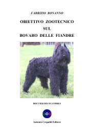 autore / author: fabrizio bonanno - Antonio Crepaldi