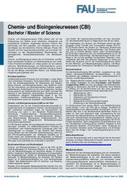 Chemie- und Bioingenieurwesen (CBI) - Friedrich-Alexander ...
