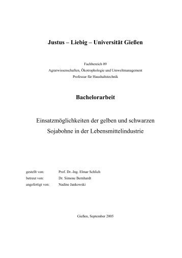 Justus – Liebig – Universität Gießen Bachelorarbeit ...