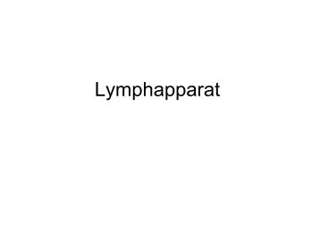 Lymphapparat 1