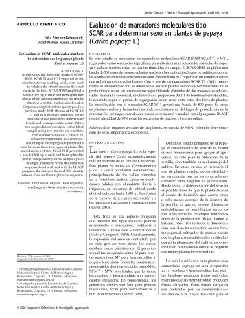 Evaluación de marcadores moleculares tipo SCAR para ... - Corpoica
