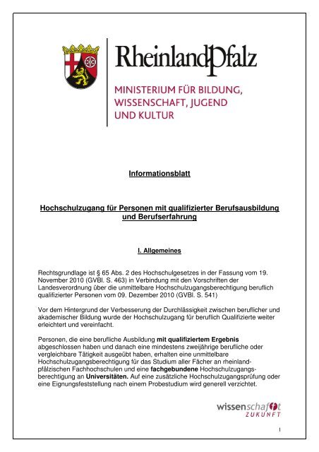 Informationsblatt qualifizierte Berufsausbildung und Berufserfahrung