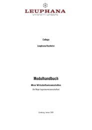 Minor Wirtschaftswissenschaften - Leuphana Universität Lüneburg