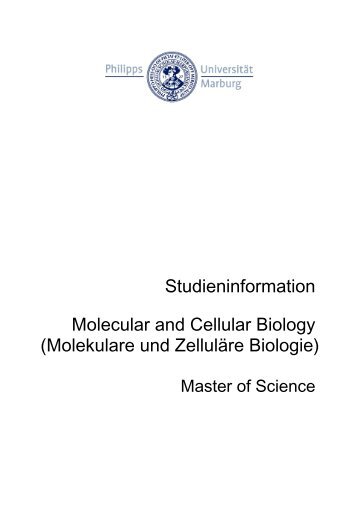 Kurzinfo (PDF; 6-seitig) - uni-marburg