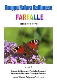 Libretto farfalle 2010 - Gruppo Natura Bellunese