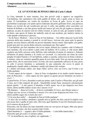 Verifica finale: comprensione della lettura - Casieresalvatore.It