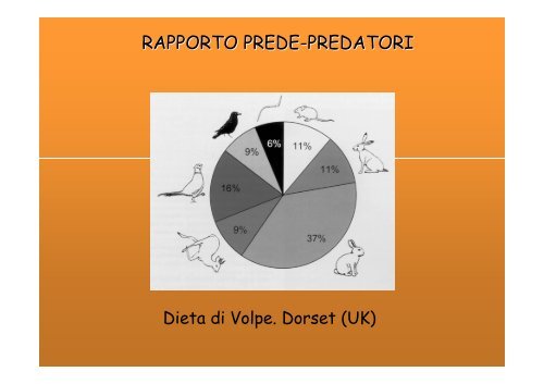 Corso controllo volpe - Provincia di Vicenza