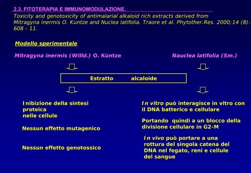 Piante officinali, principi attivi e sistema immunitario