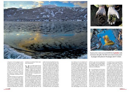 Exxon Valdez 20 anni dopo - Jacopo Pasotti