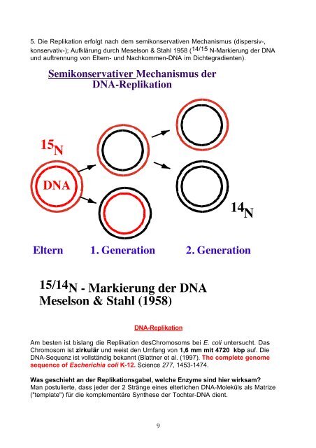 DAS BAKTERIEN-GENOM