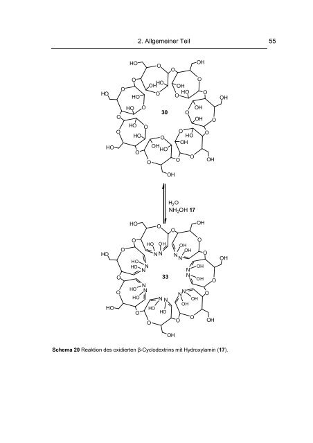 Struktur, Eigenschaften und Reaktionen Oxidierter Dextrane