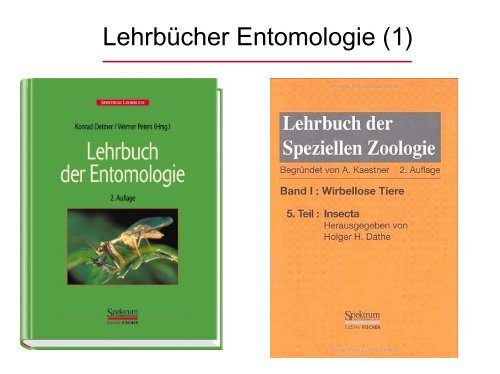 Lehrbücher Entomologie (1)