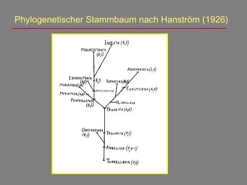 Lehrbücher Entomologie (1)