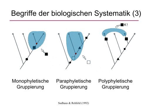 Lehrbücher Entomologie (1)