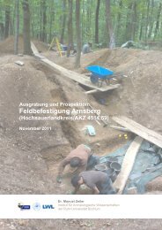 Grabungsbericht vom Institut für Archäologische Wissenschaften der ...