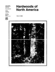 Hardwoods of North America - Forest Products Laboratory - USDA ...