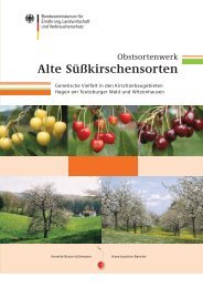 Alte Süßkirschensorten - Landesverband der Gartenfreunde Baden ...