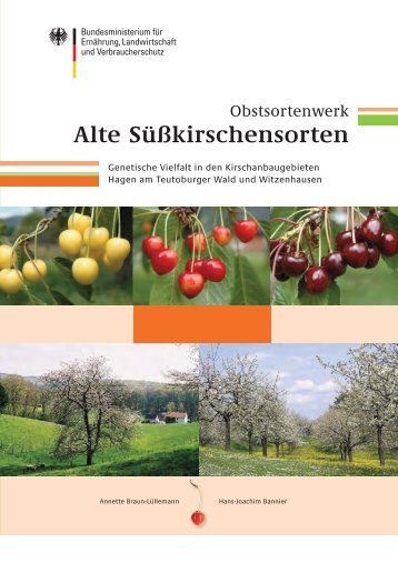 Alte Süßkirschensorten - Landesverband der Gartenfreunde Baden ...