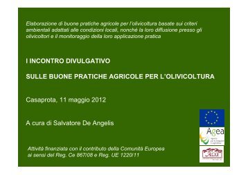 Oliveti intensivi e superintensivi - Associazione ACO