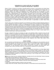 Esquema de la Evolucion de los Elementos(.pdf) - Tecnologias ...