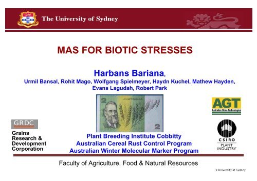 Dr Harbans Bariana, University of Sydney - Australian Centre for ...