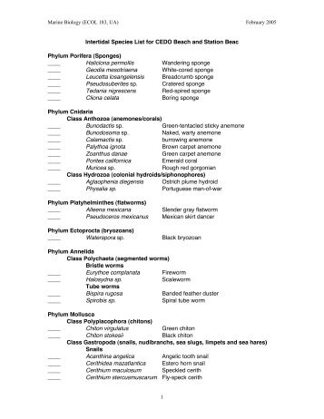 Intertidal Species List for CEDO Beach and Station Beac Phylum ...