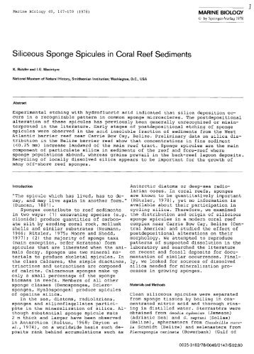 Siliceous Sponge Spicules in Coral Reef Sediments