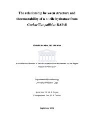 The relationship between structure and thermostability of a nitrile ...