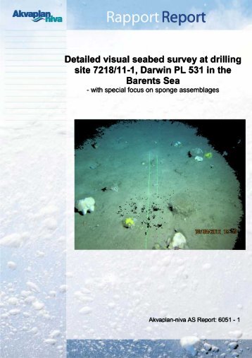 Detailed visual seabed survey at drilling site 7218/11-1