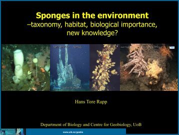 Sponges in the environment - Norsk olje og gass