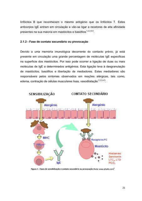 Dissertação de mestrado de HELENA FERNANDES (52418).pdf