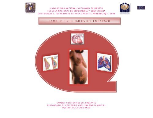 Cambios anatomicos y fisiologicos en el embarazo por trimestre
