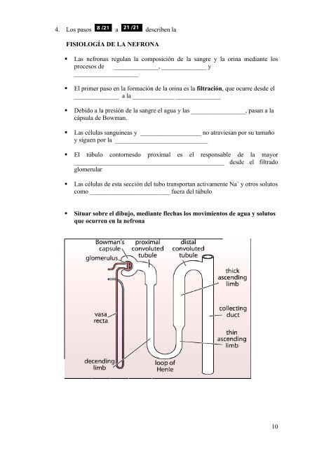 TEMA 13 LA NUTRICIÓN EN LOS ANIMALES - IES San Isidro