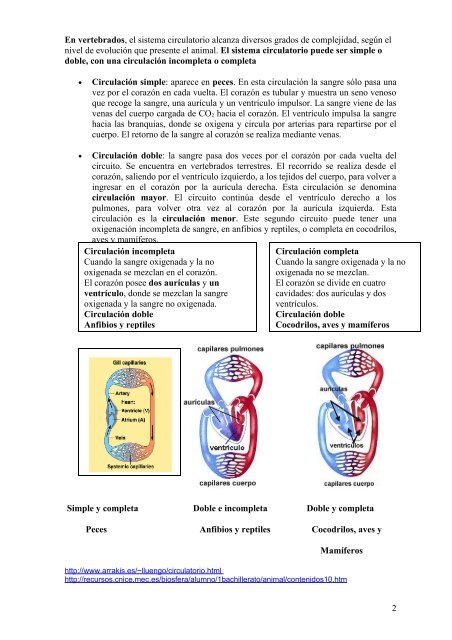 TEMA 13 LA NUTRICIÓN EN LOS ANIMALES - IES San Isidro