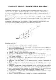 Estrazione del colesterolo e degli acidi grasii dal tuorlo d'uovo.