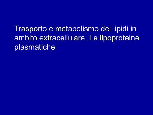 4. Lipidi