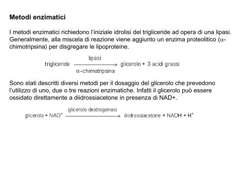 4. Lipidi