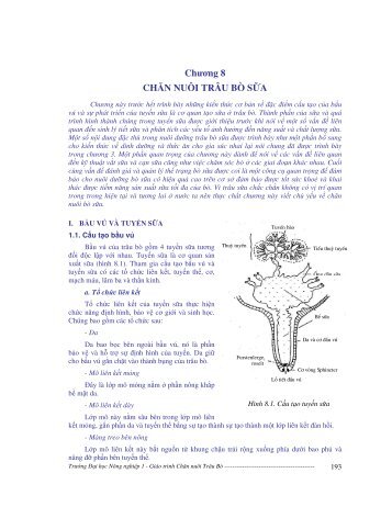 Chương 8 CHĂN NUÔI TRÂU BÒ SỮA - Trung tâm Học liệu - Đại ...