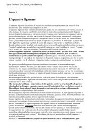 Vasa recta spuri top