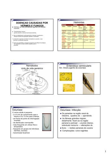 doenças causadas por vermes e fungos - Energia Concursos