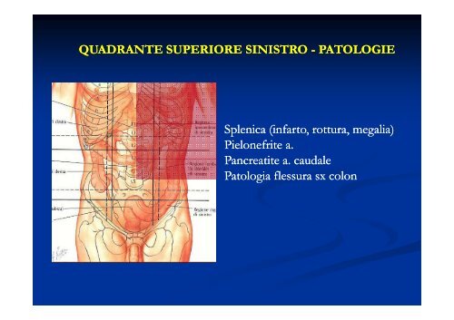 Semeiotica clinica in urgenza nel dolore addominale acuto: ? serve ...