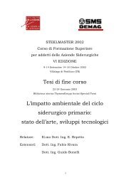 tesi Steelmaster 2002