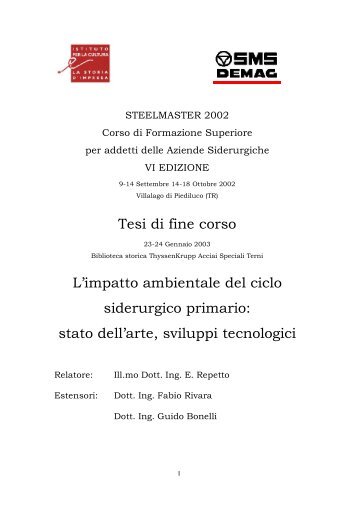 tesi Steelmaster 2002