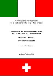 Rapporto annuale 2008 - ISE - Cnr